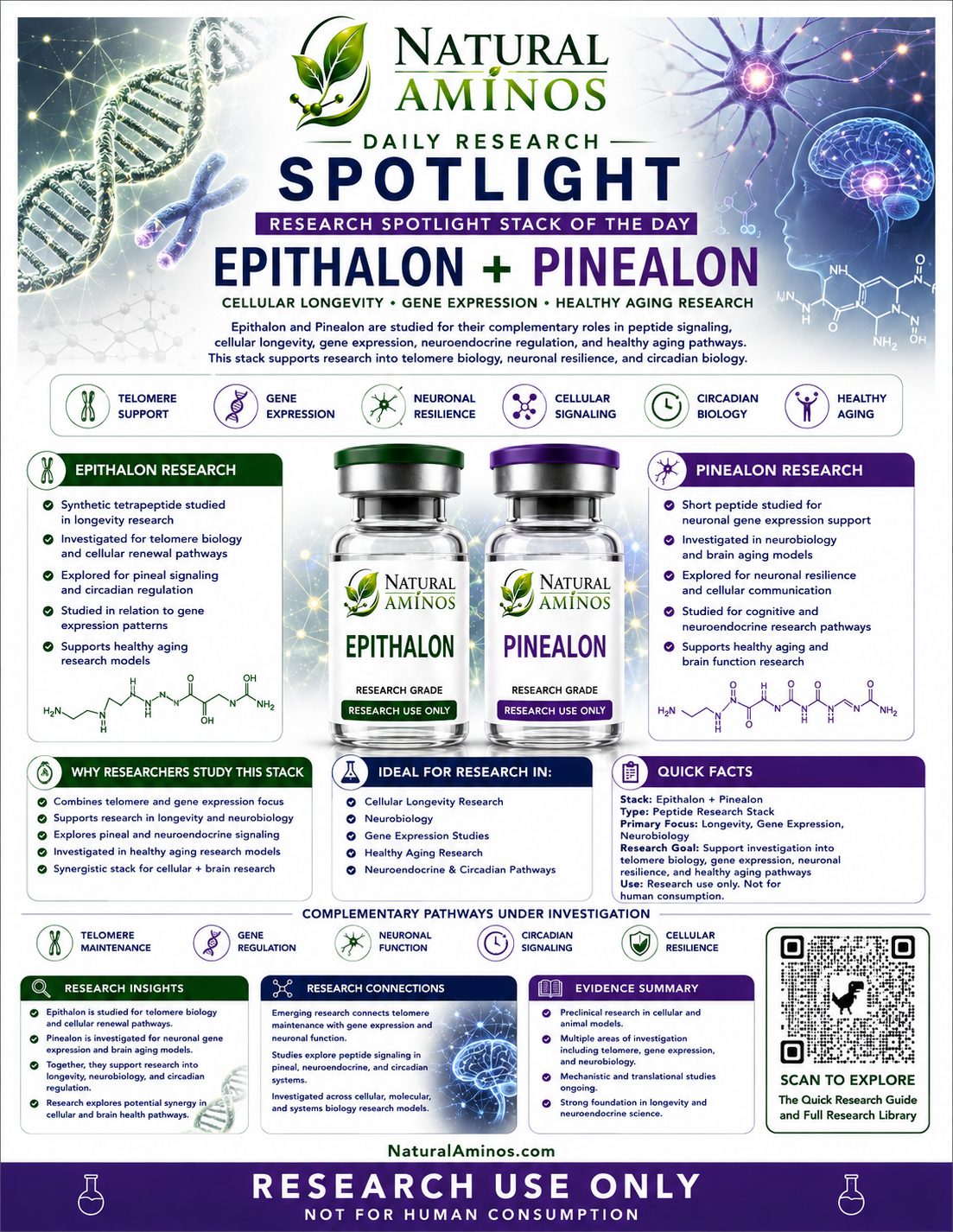 Epithalon + Pinealon research graphic
